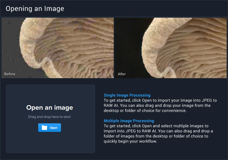 【MAC软件】智能格式转换 Topaz JPEG To RAW AI-知遇博客