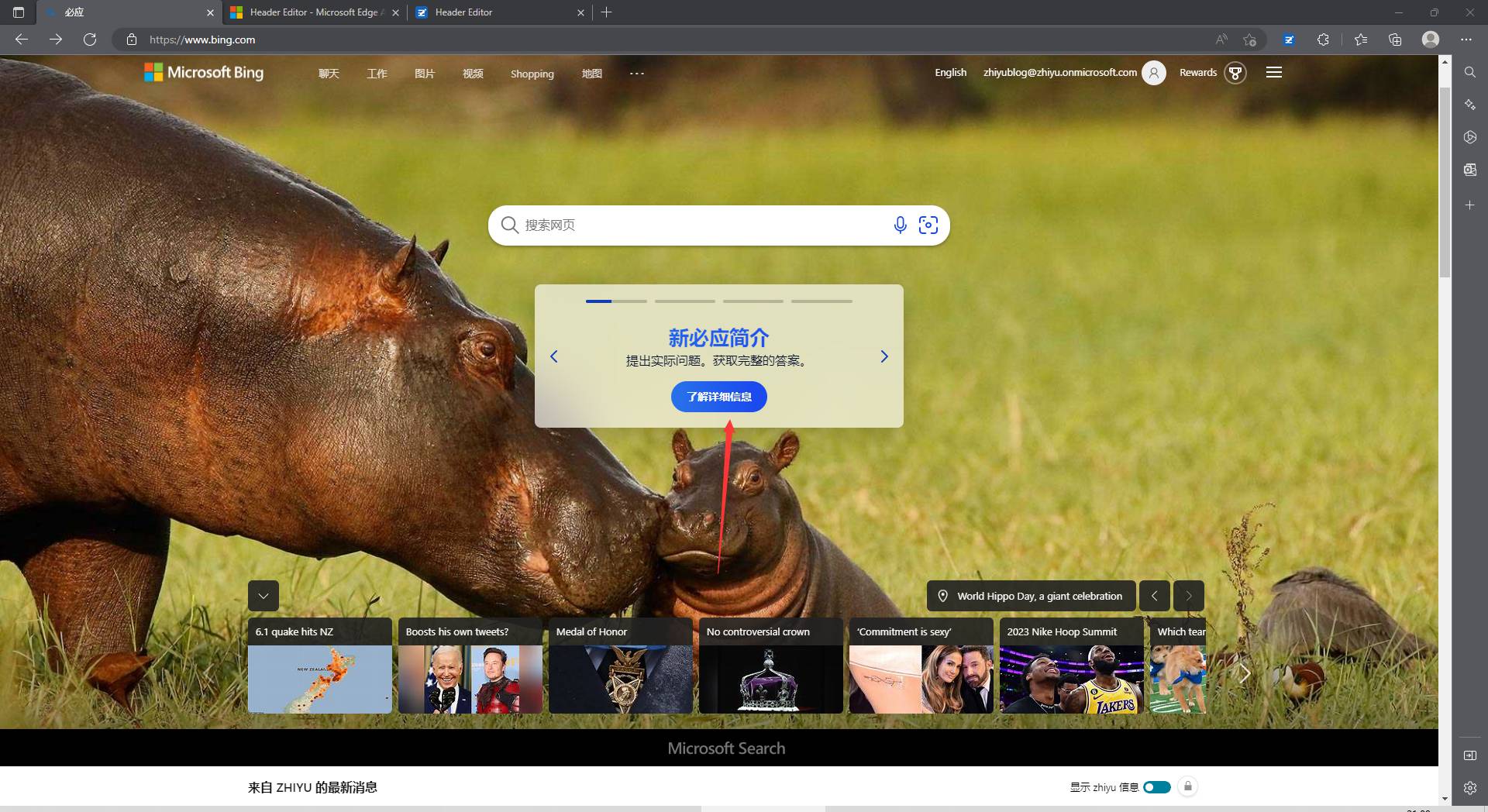 图片[10]-Bing+ChartGPT的New bing申请方法 不需要科学上网-知遇博客