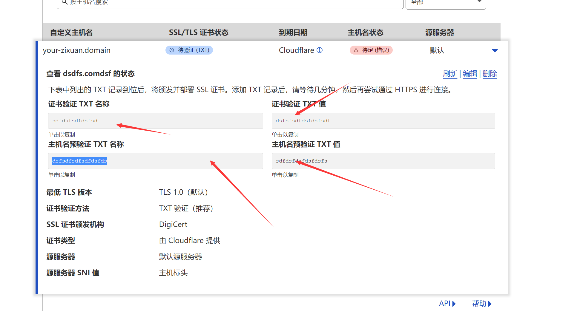 图片[12]-Cloudflare For SaaS 实现自选IP-知遇博客