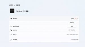 Windows11专业版 KMS命令激活产品密钥-知遇博客