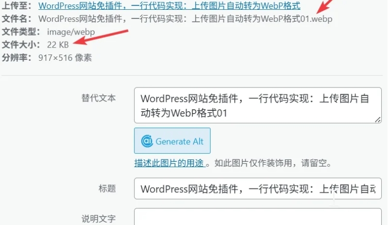 图片[4]-WordPress网站免插件，一行代码实现：上传图片自动转为WebP格式-